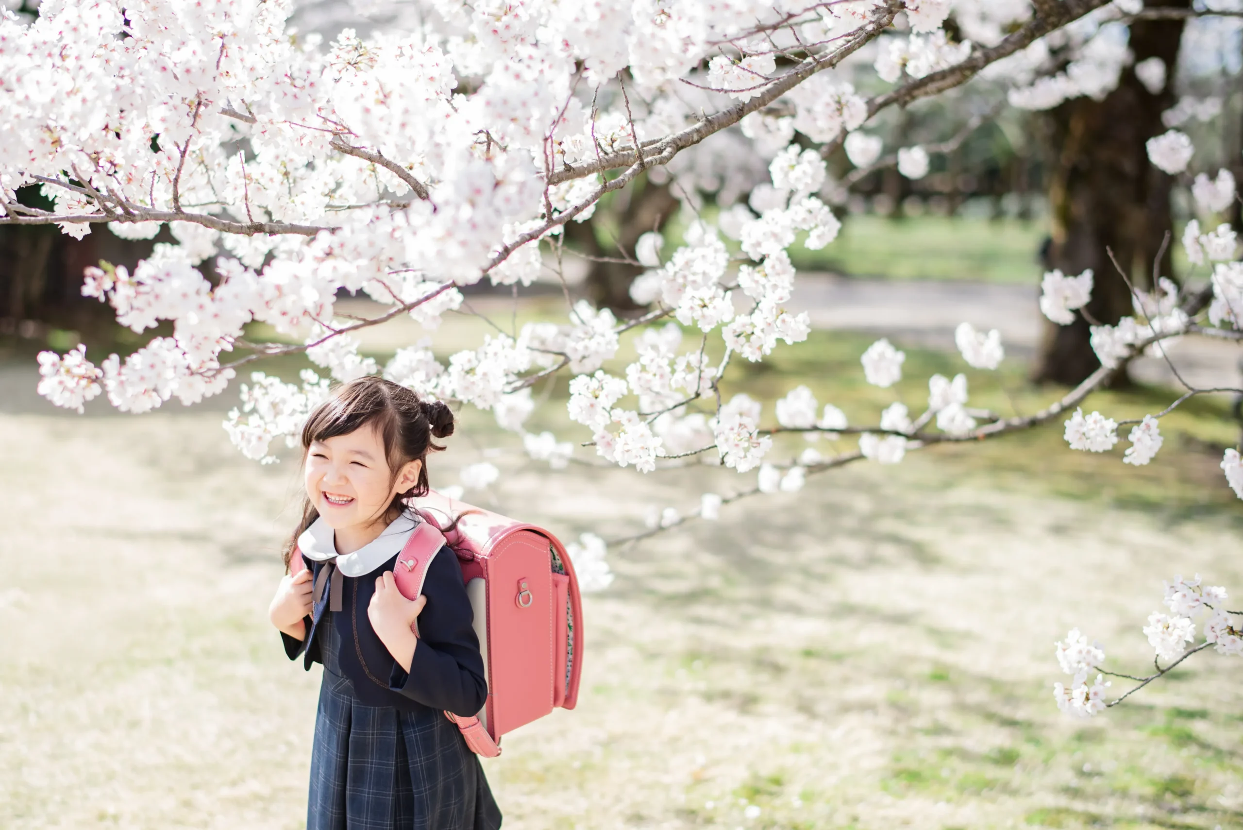 七五三後撮りキャンペーン｜富山の写真館 フォトスタジオbe