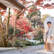 富山　 七五三 神社